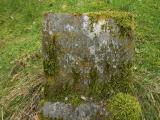 image of grave number 233155